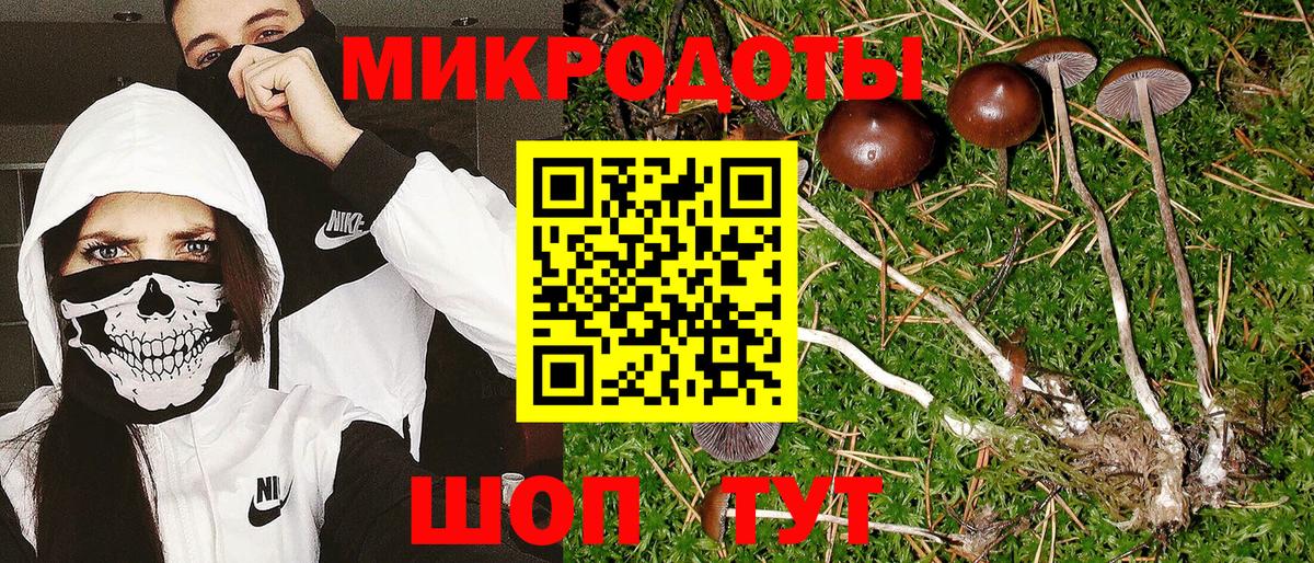 Галлюциногенные грибы мицелий Мыски