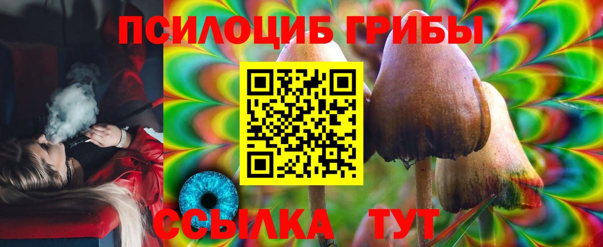 Галлюциногенные грибы Cubensis  Вход с VPN  Мыски  Псилоцибиновые грибы Psilocybe 